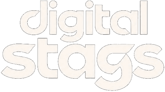 Digital Stags - Digital Marketing Agency in Chandigarh